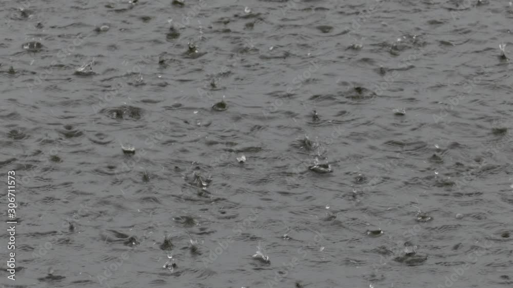 Heavy rain falling on gray water surface Heavy rain falling on gray water surface