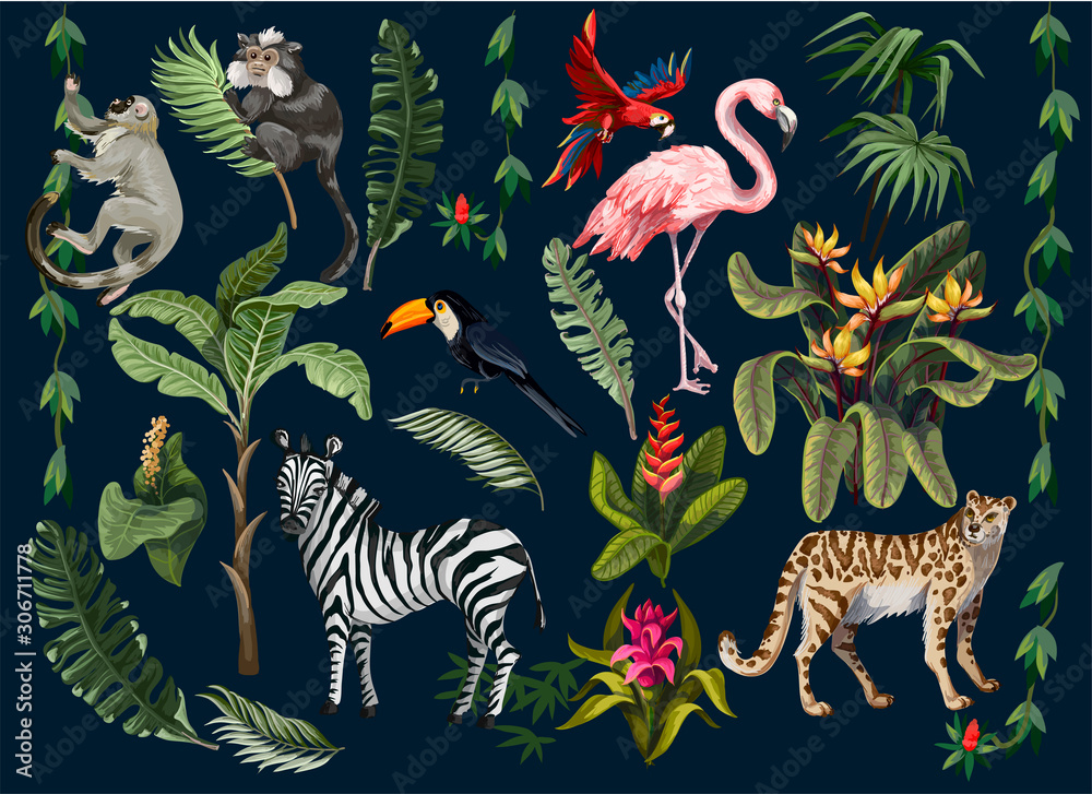 Jungle animals, flowers and trees isolated. Vector. Jungle animals, flowers and trees isolated. Vector.