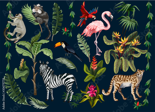Jungle animals, flowers and trees isolated. Vector. © Yumeee