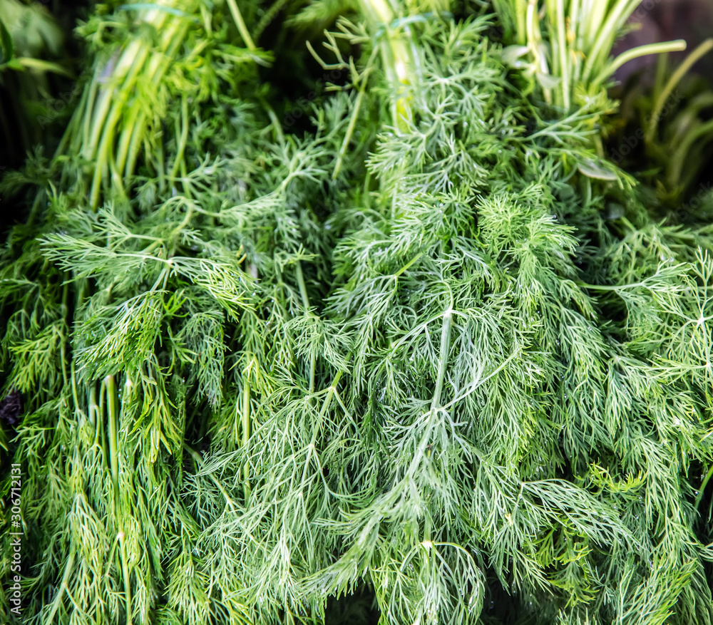 Vegetable Pattern Background parsley dill bunch Vegetable Pattern Background parsley dill bunch