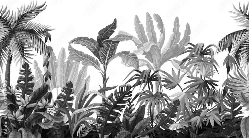 Obraz premium Granica z drzewami dżungli w stylu monochromatycznym