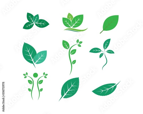 green leaf ecology nature element vector icon of go green