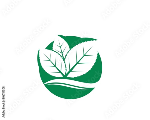 green leaf ecology nature element vector icon of go green