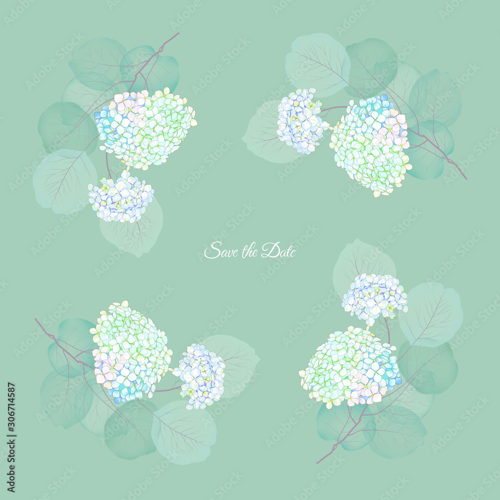 Set of card with transparent camellia floral , leaves. Wedding ornament concept. Floral poster, invite. Decorative greeting card or invitation design background Set of card with transparent camellia floral , leaves. Wedding ornament concept. Floral poster, invite. Decorative greeting card or invitation design background