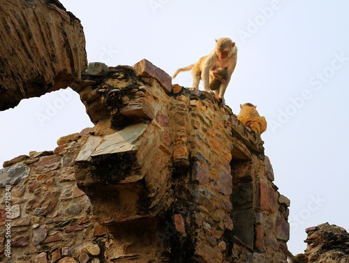 Mother carrying her baby on the top of the wall