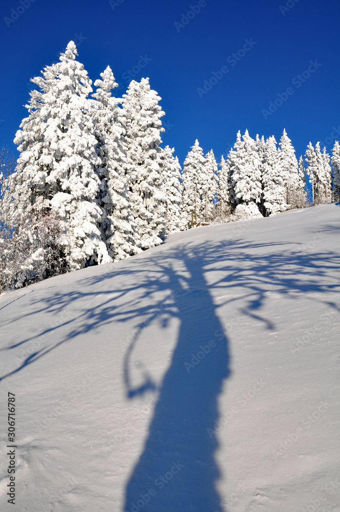 Obraz premium Schneelandschaft