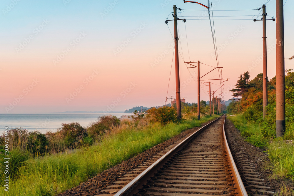 View of the railroad along coastline through the plants
