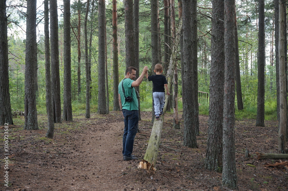 Man helps a boy to keep balance while he is walking along a fallen tree in the forest Man helps a boy to keep balance while he is walking along a fallen tree in the forest