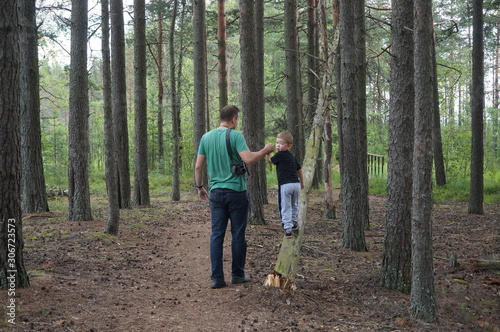 Dad helps little son to climb onto fallen tree trunk in the forest