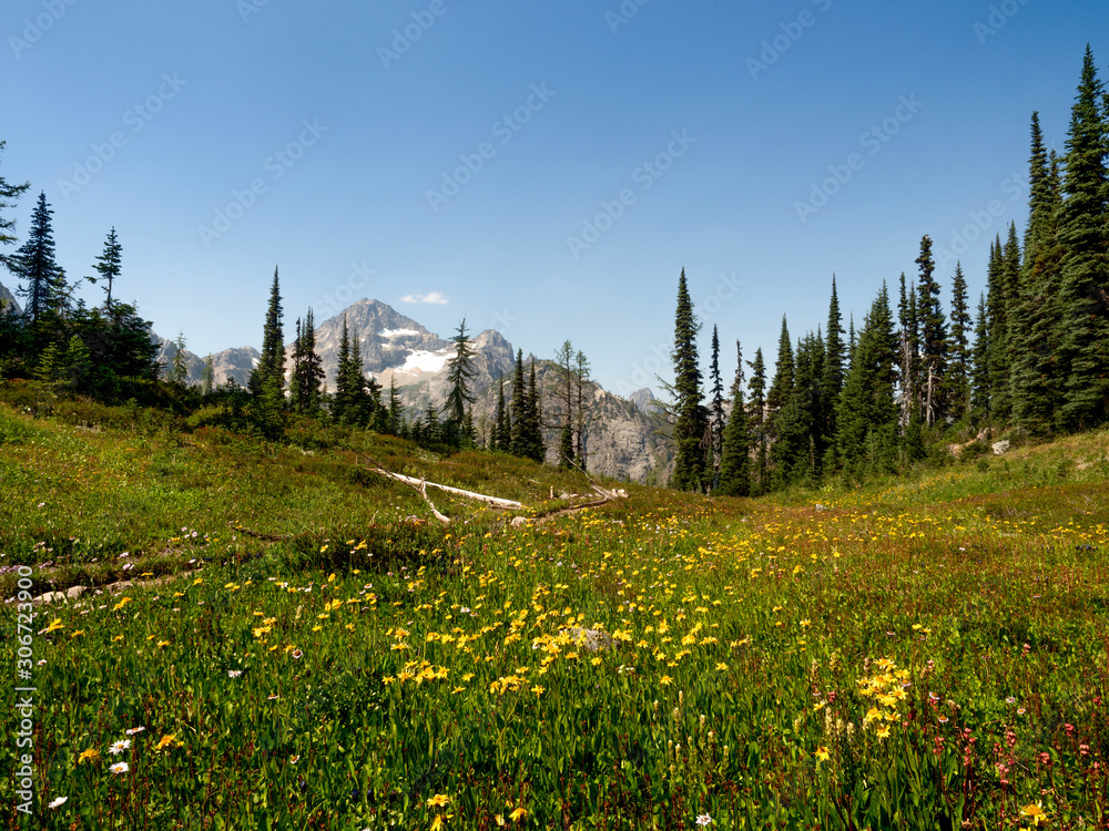 The Northern Cascade Range with Mount Baker and Maple Pass