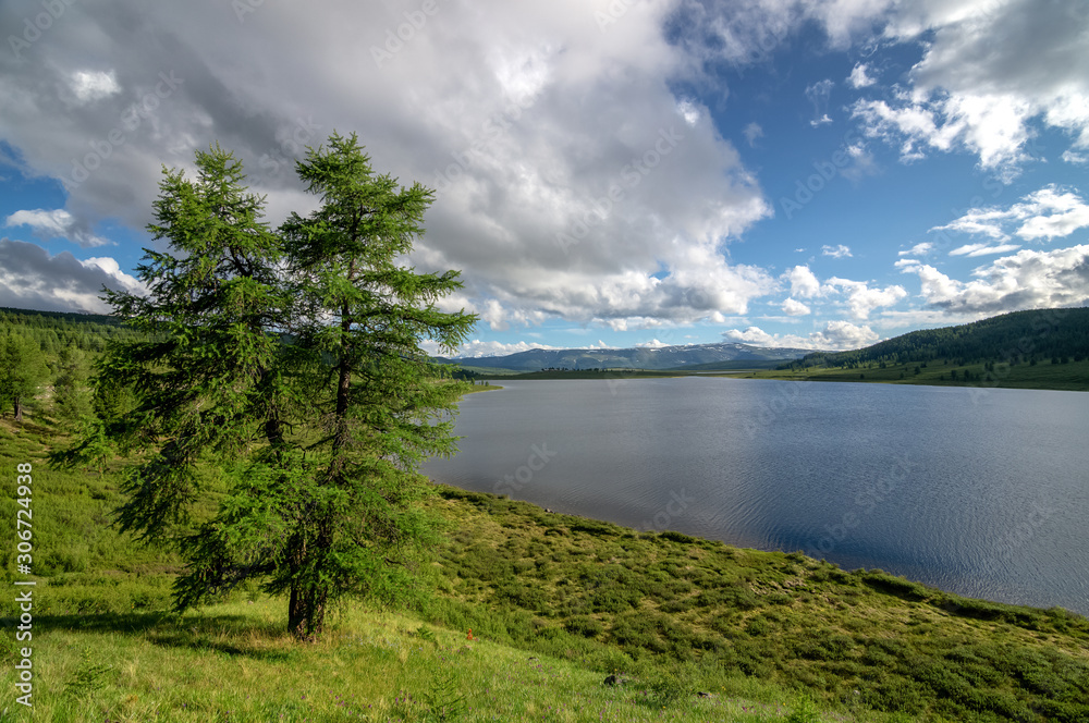 Panorama summer day in the Altai mountains with a lake, Russia,