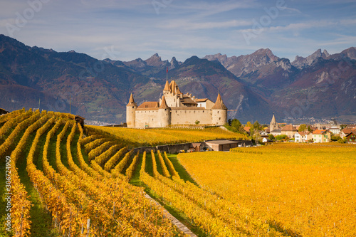 Konstfotografi sunny autumn day at the castle of Aigle in canton Vaud, Switzerland