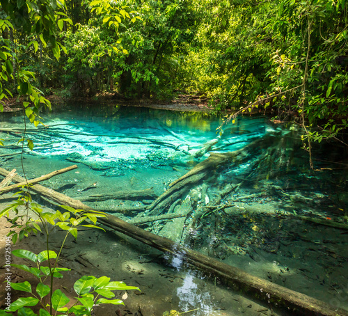 Fototapeta Naklejka Na Ścianę i Meble -  Emerald Pool Krabi rainforest Thailand