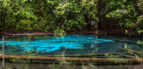 Emerald blue pool  Sra Morakot  Krabi Thailand.