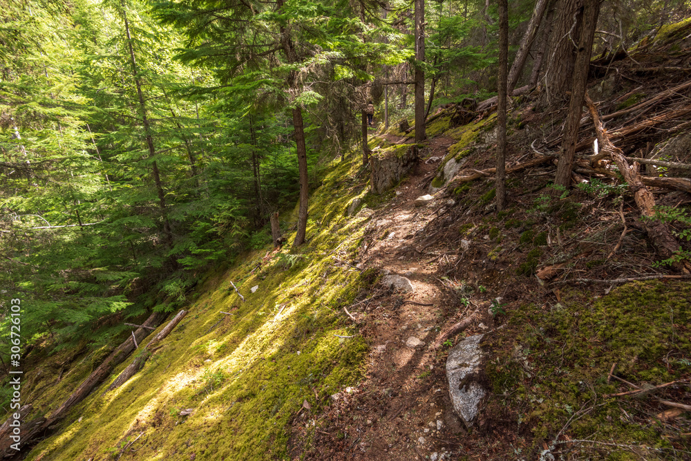 View at Trail in Park in Vancouver, Canada. Mountain and rock background. View at Trail in Park in Vancouver, Canada. Mountain and rock background.