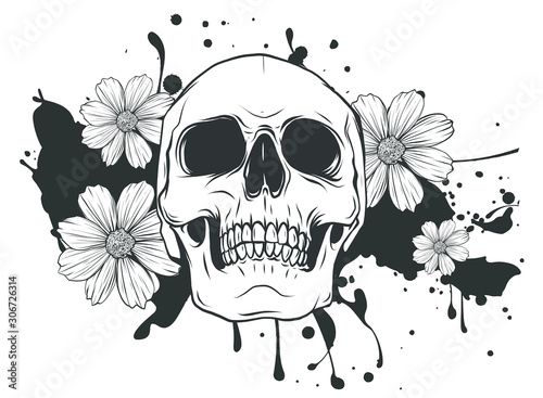 Human skull and flower wreath. Los muertos. Vector illustration.