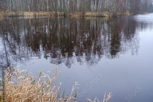 small forest lake in countryside with water reflections