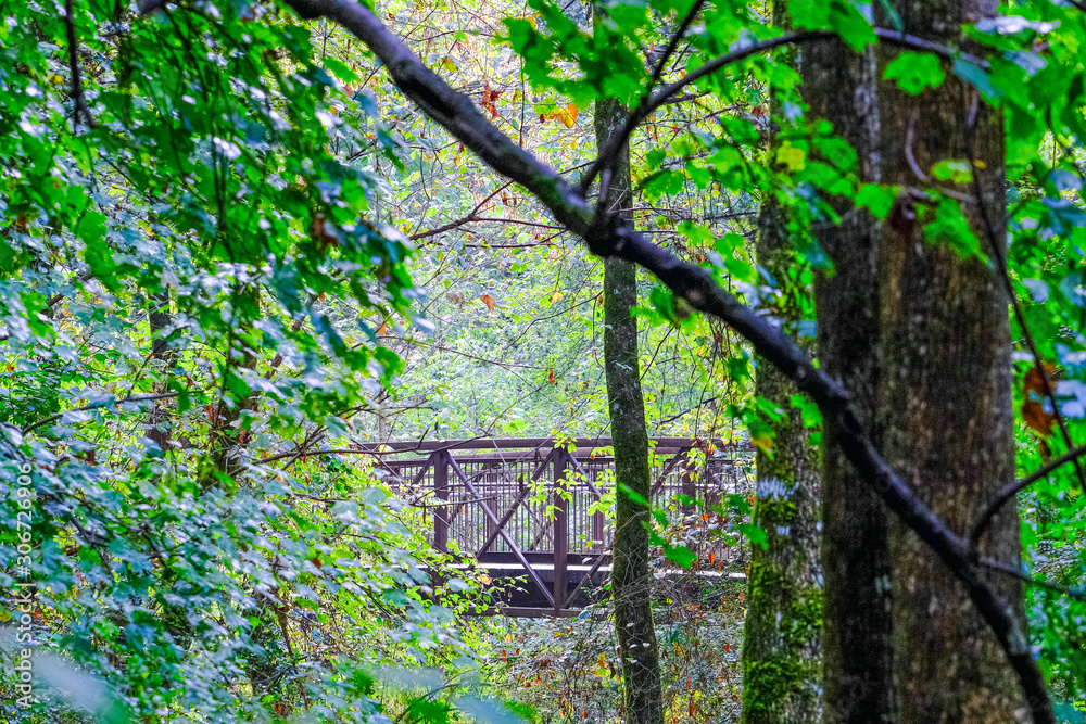 Obraz premium Fitness Trail Crossing an Iron Bridge Through Trees