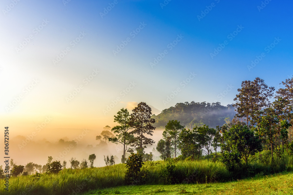 Obraz premium Beautiful sunrise in the morning above the meadow with blue sky at Thung Salaeng Luang National Park, A famous local attraction in Thailand.