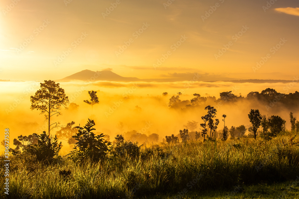 Obraz premium Beautiful sunrise in the morning above the meadow at Thung Salaeng Luang National Park, A famous local attraction in Thailand.