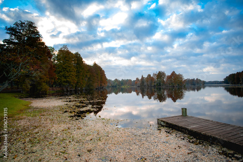 nulo sky and trees from the dock 
