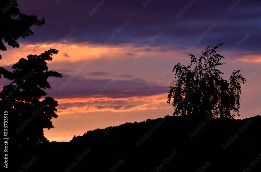 Silhouette of birch tree and mountains at beautiful sunrise.