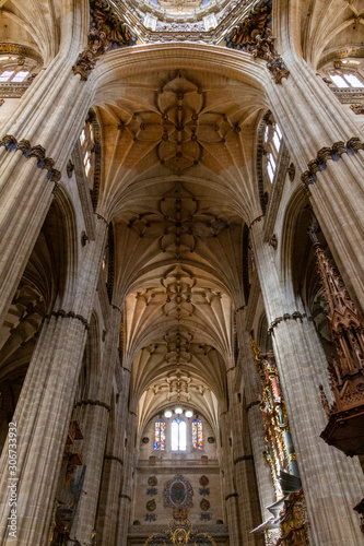 Salamanca, Castilla y Léon, Spagna