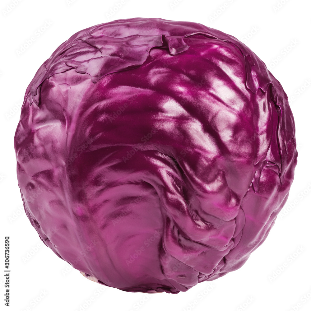 Obraz premium red cabbage, isolated on white background, clipping path, full depth of field