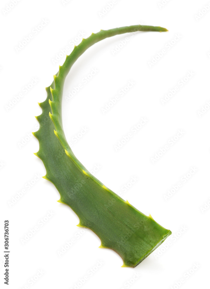 One leaf of aloe.