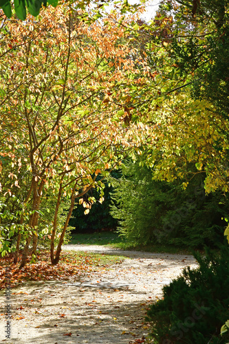 Versailles; France - october 14 2018 : Petit Trianon park in the Marie Antoinette estate photo