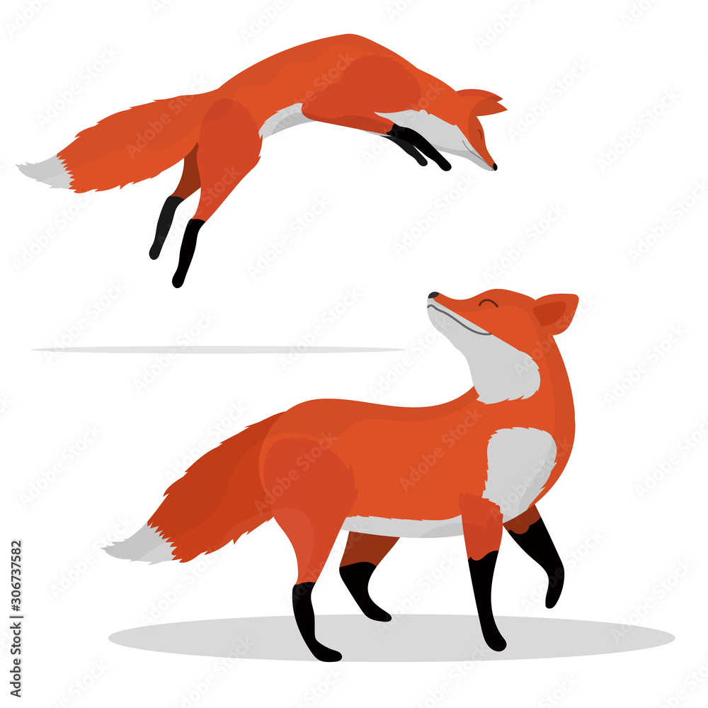 Fox vector. Cute fox. The fox is in a jump. Cartoon animals icon set