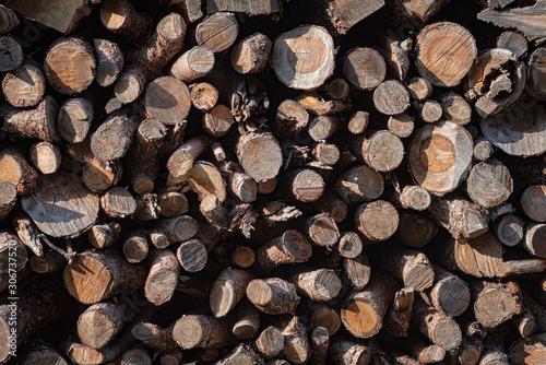 Pile of chopped firewood in swiss alps.