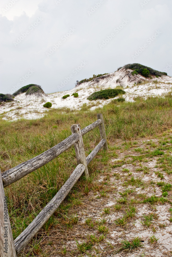 Protected Florida Sand Dunes and Weathered Fence