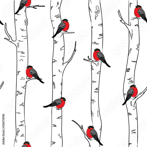 Seamless pattern with with bullfinches stinting on white birches.