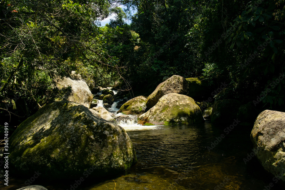 Fototapeta premium Stream in the forest