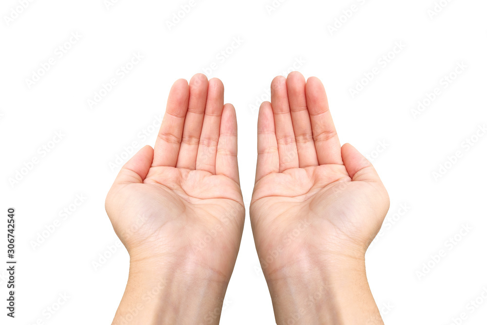 Two palm hands Two palm hands