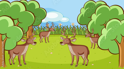 Scene with many deers in the forest