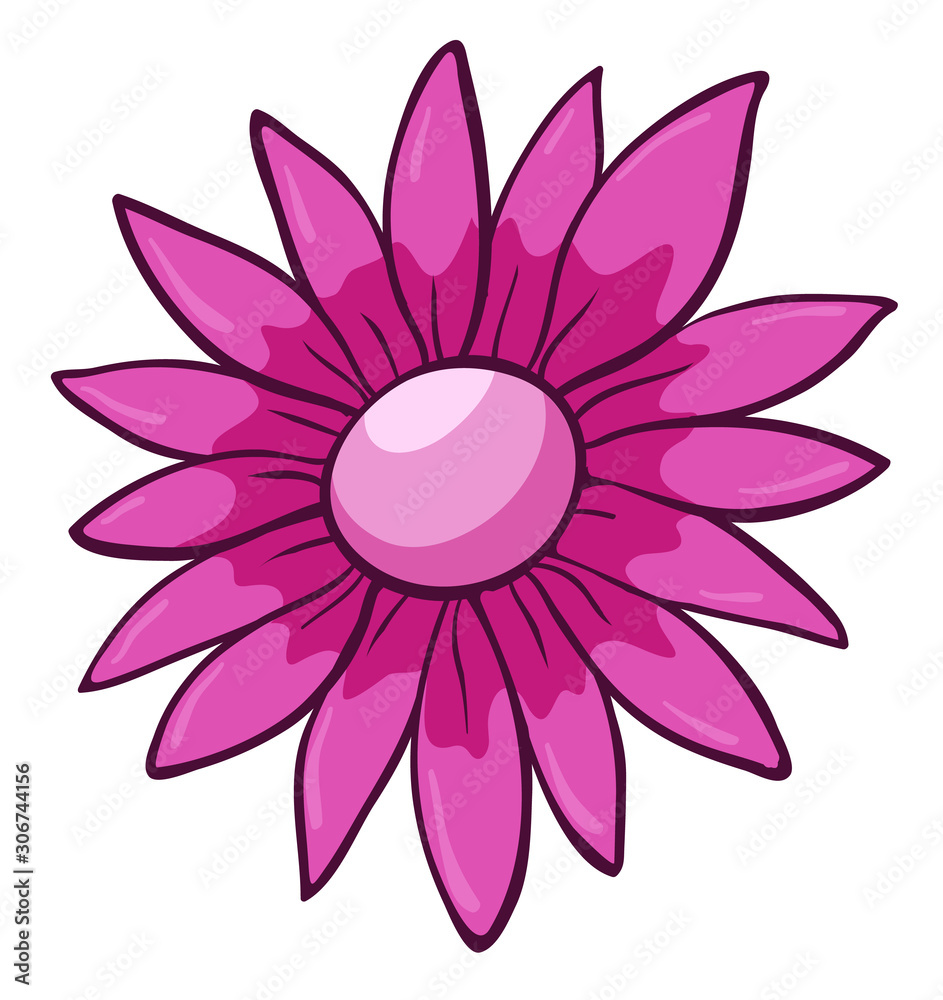 Single flower in pink