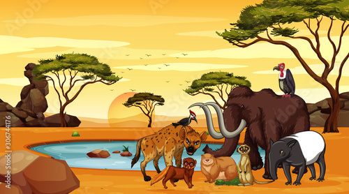 Scene with animals by the pond