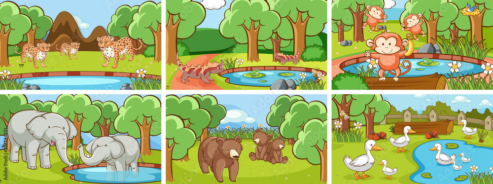 Obraz premium Background scenes of animals in the wild