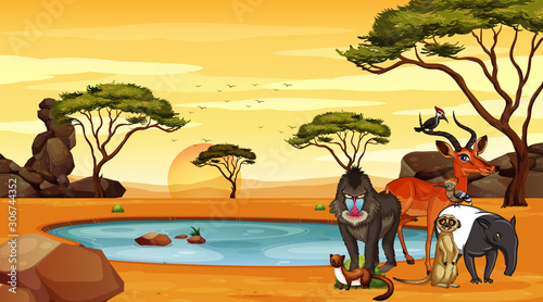 Scene with animals by the pond