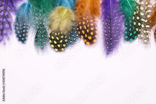 Colorful feathers on white background © Tanja Szymkowiak