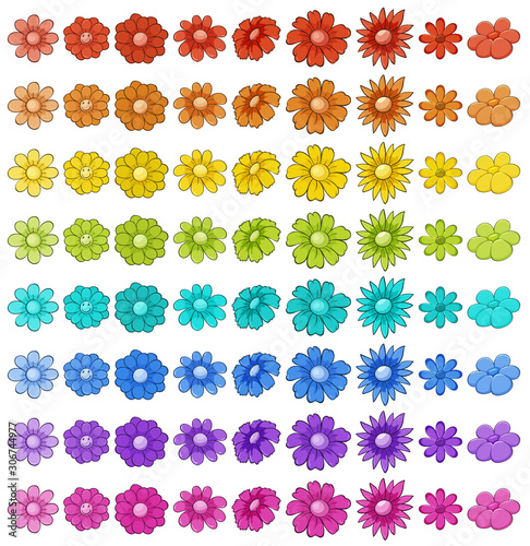 Isolated set of flowers