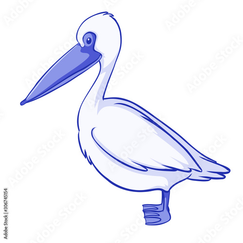 Blue pelican on white background