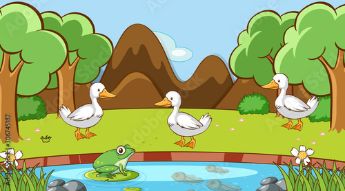 Scene with ducks and frog in the park