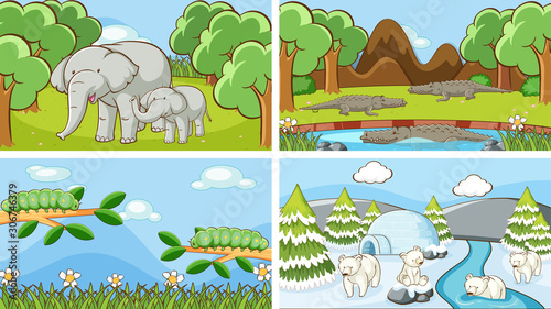 Background scenes of animals in the wild photo