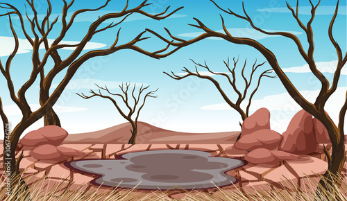 Scene with mud pond and dried trees