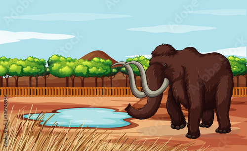 Scene with woolly mammoth in the field