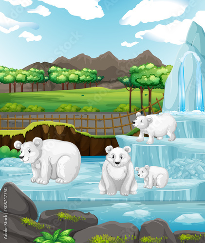 Scene with polar bears on ice