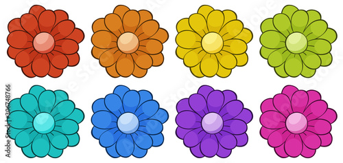 Isolated set of flowers